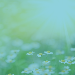 The Healing Power of Nature